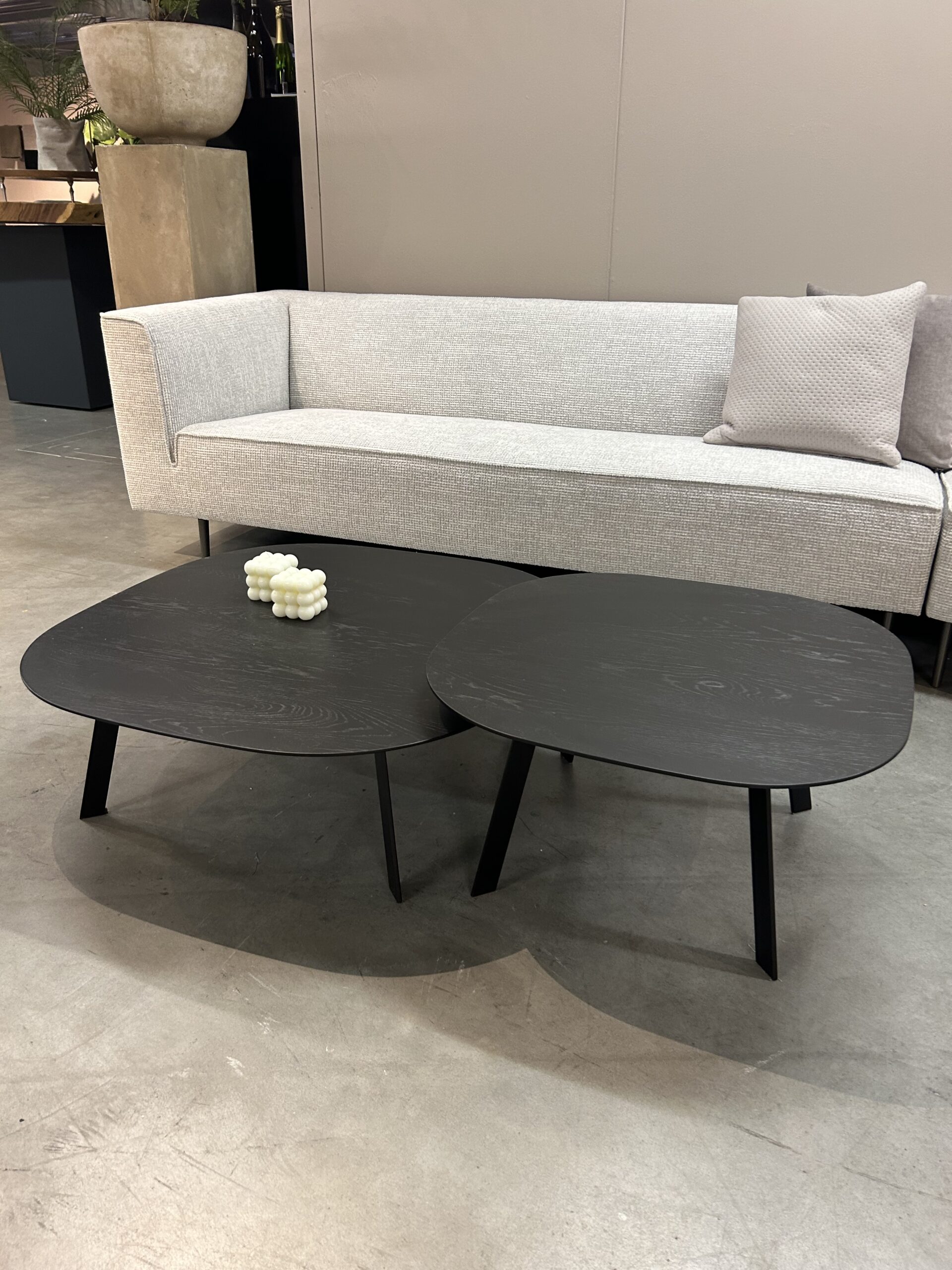 IMG_7216 IMG 7216 scaled