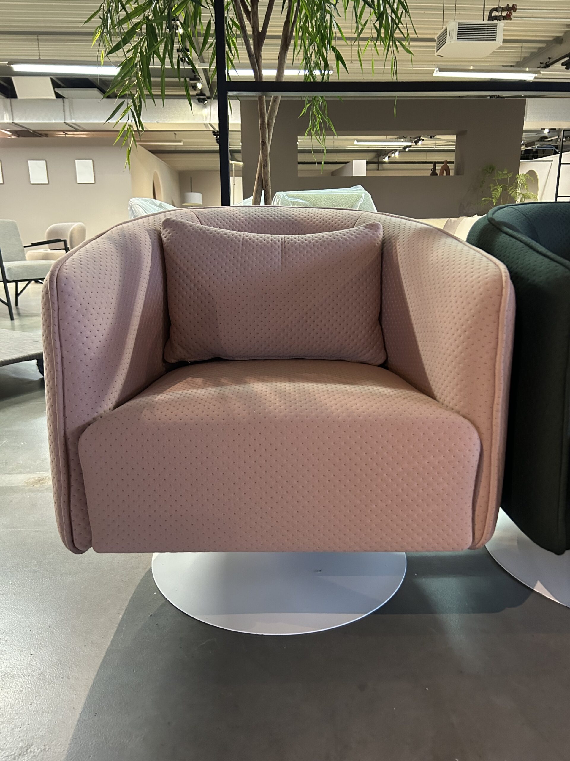 IMG_7699 IMG 7699 scaled