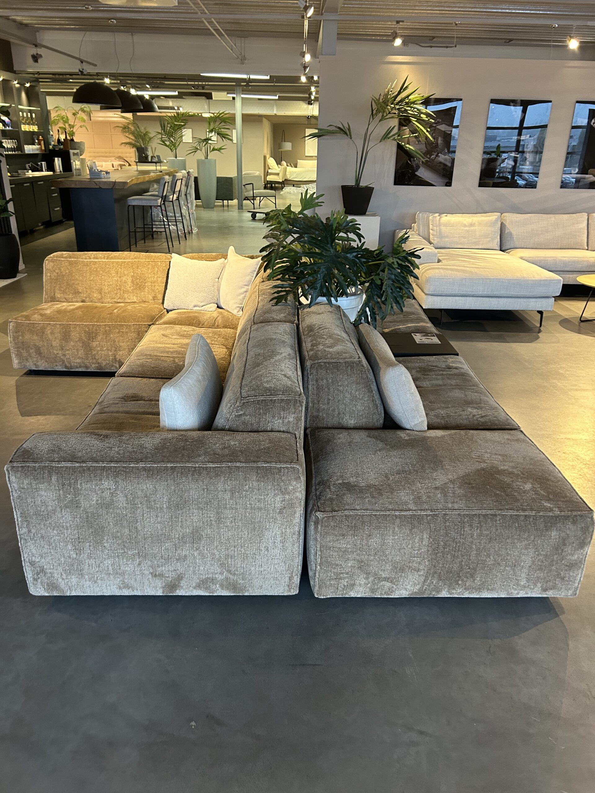 IMG_7713 IMG 7713 scaled