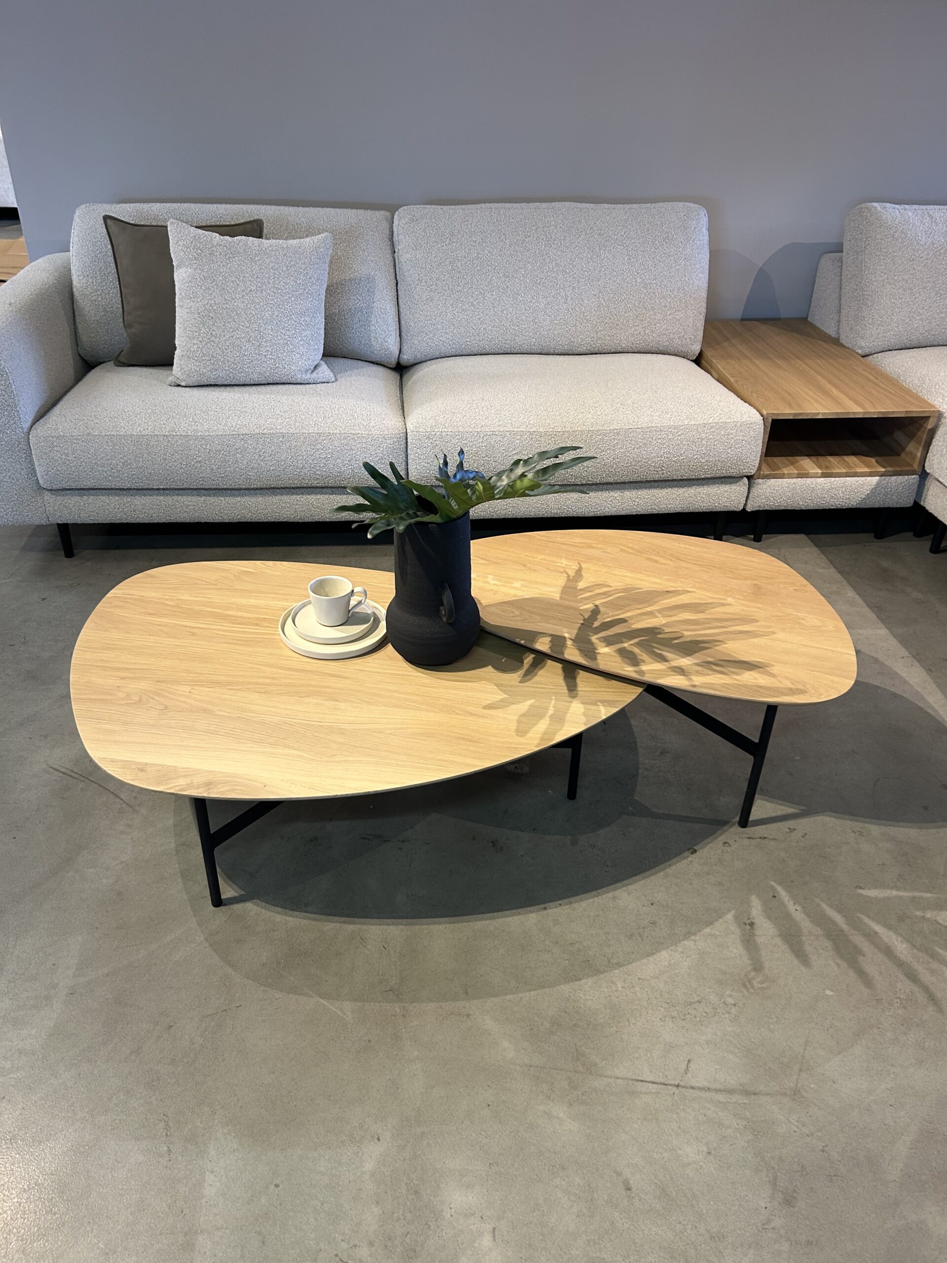 IMG_3795 IMG 3795 scaled