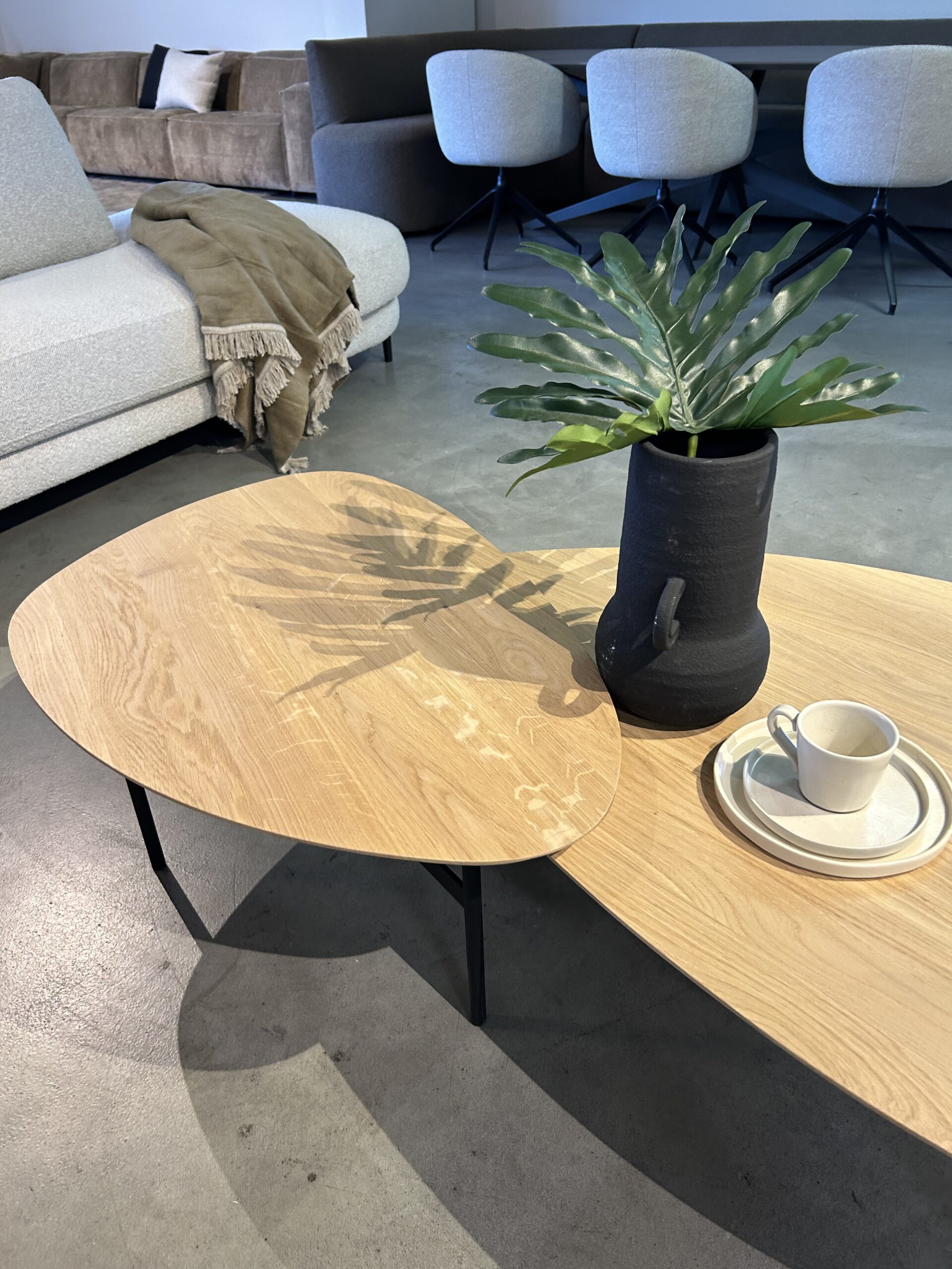 IMG_3798 IMG 3798 scaled