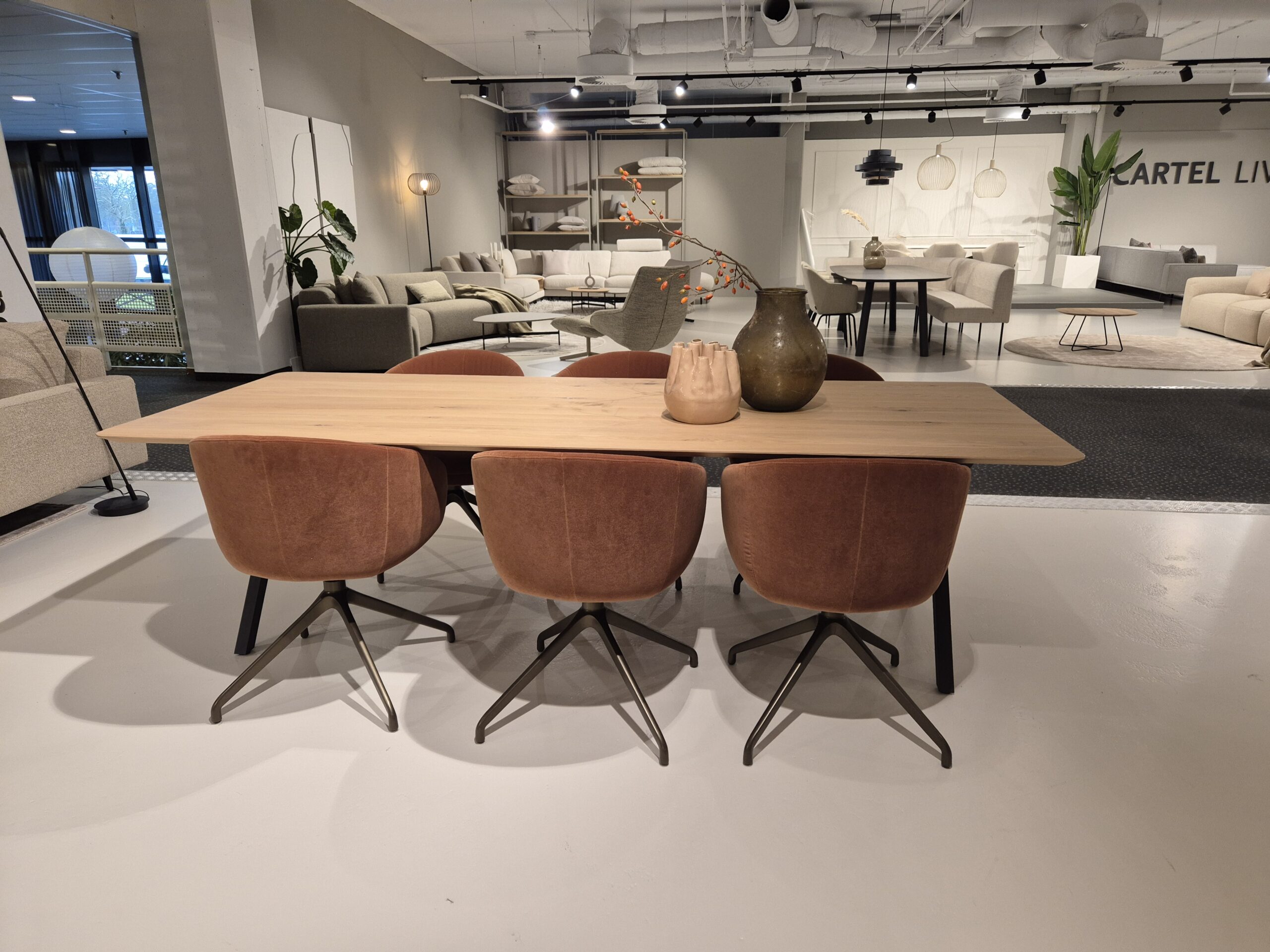 20250317 083314 scaled